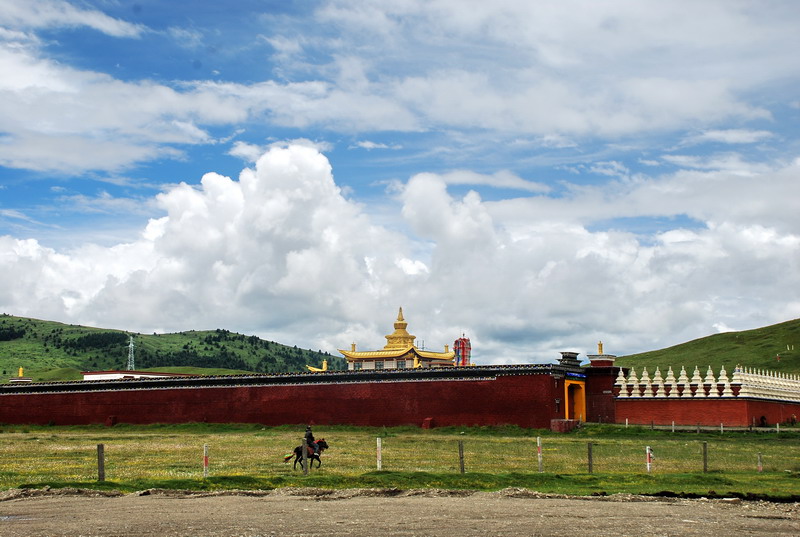 dsc_0134.jpg