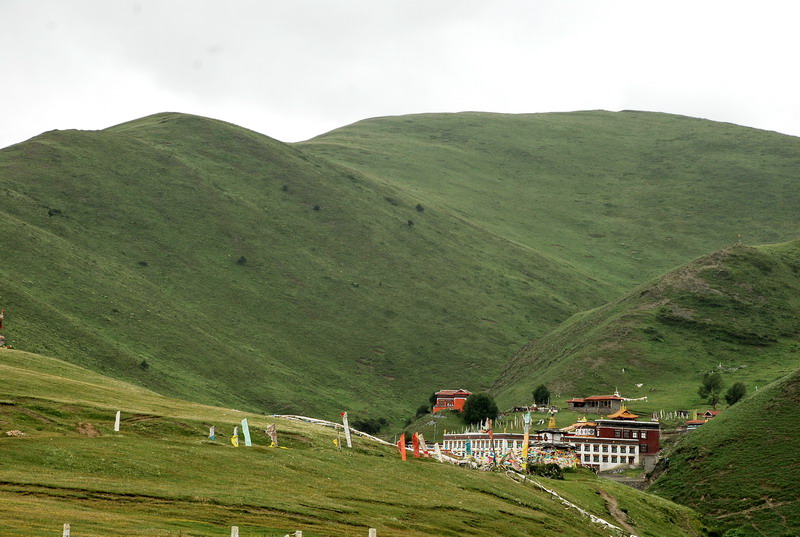 dsc_0142.jpg