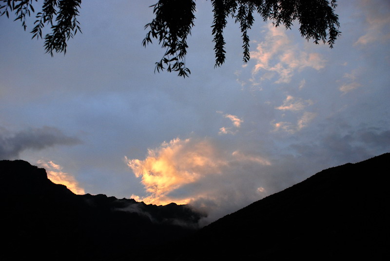 dsc_0194.jpg