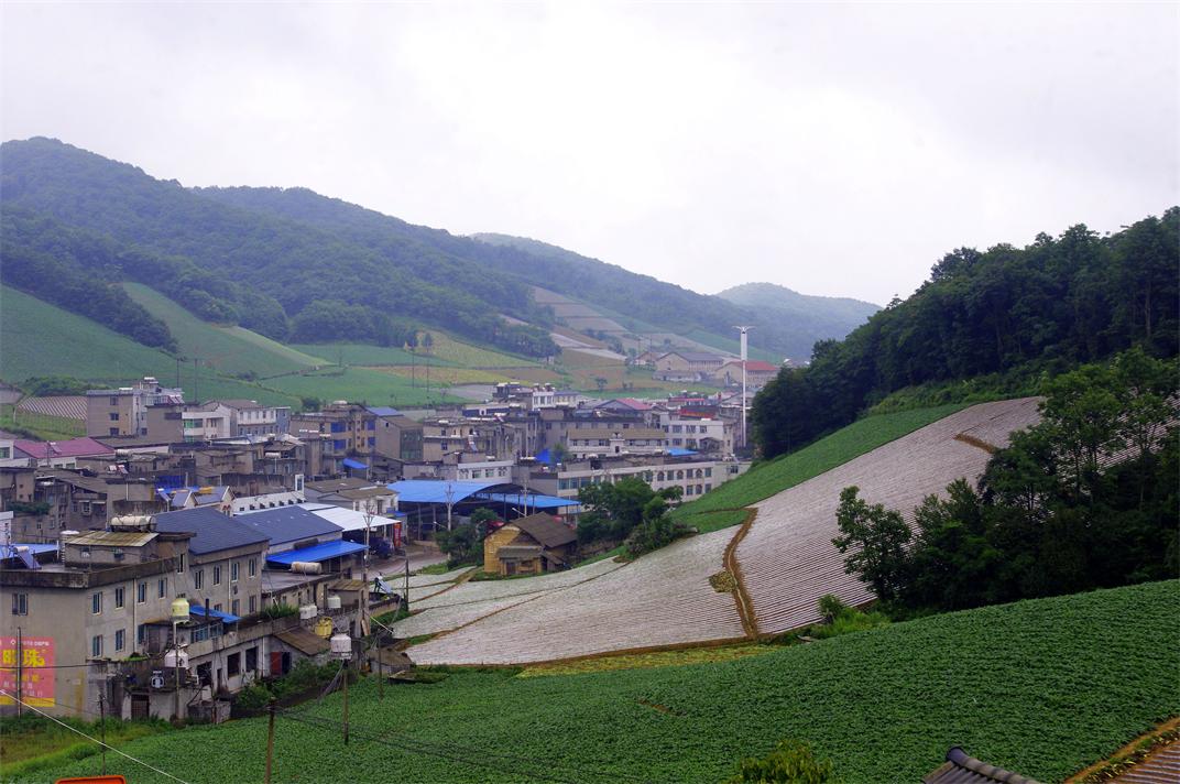 _igp7264.jpg