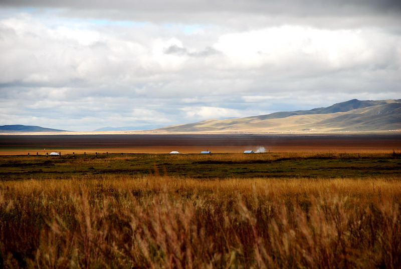 dsc_8449.jpg