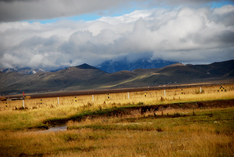 dsc_8459.jpg