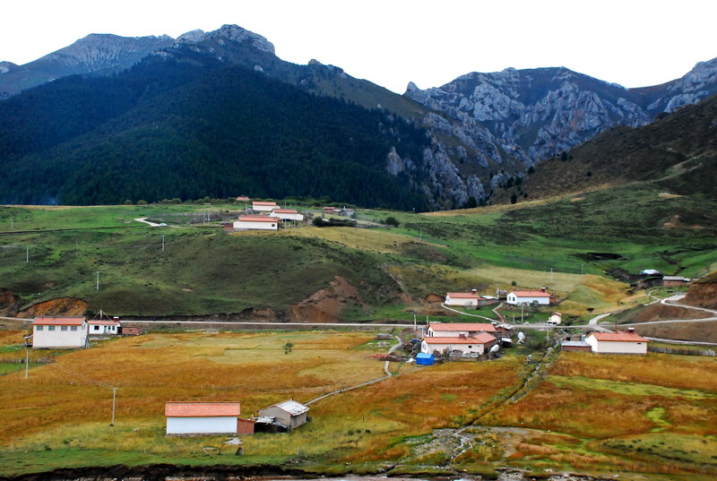 dsc_8339.jpg