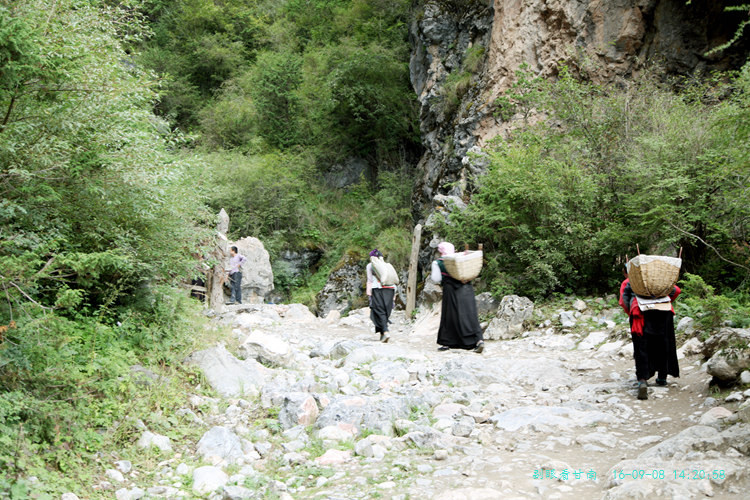 img_3419_.jpg