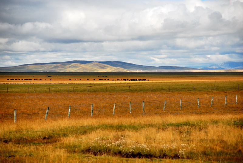 dsc_8466.jpg