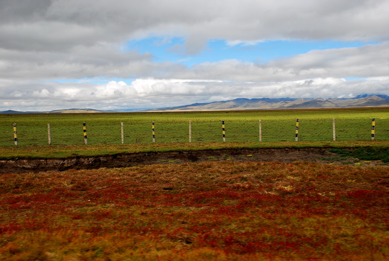 dsc_8478.jpg