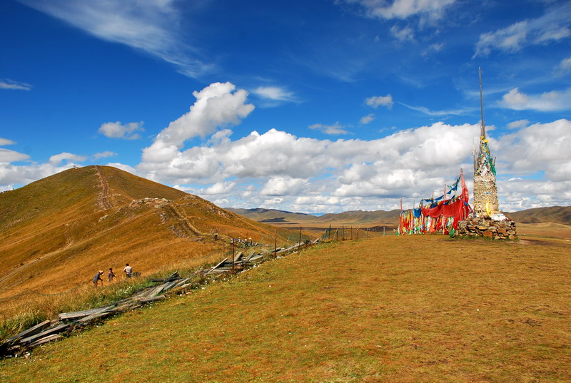 dsc_8726.jpg