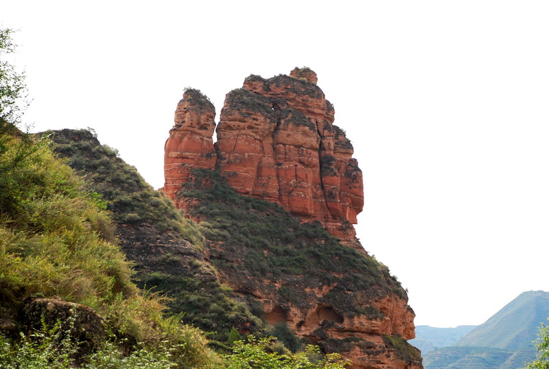 dsc_9231.jpg