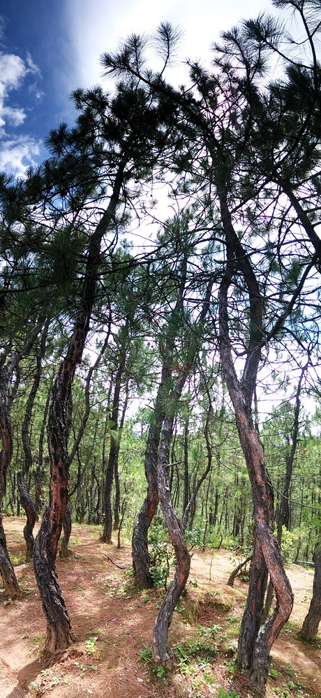 20150731_122212.jpg