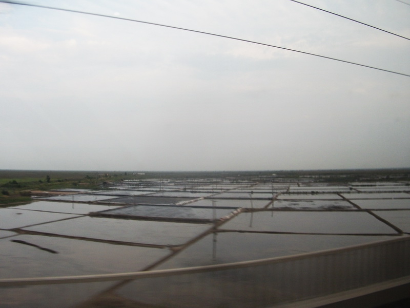 dscf0006.jpg