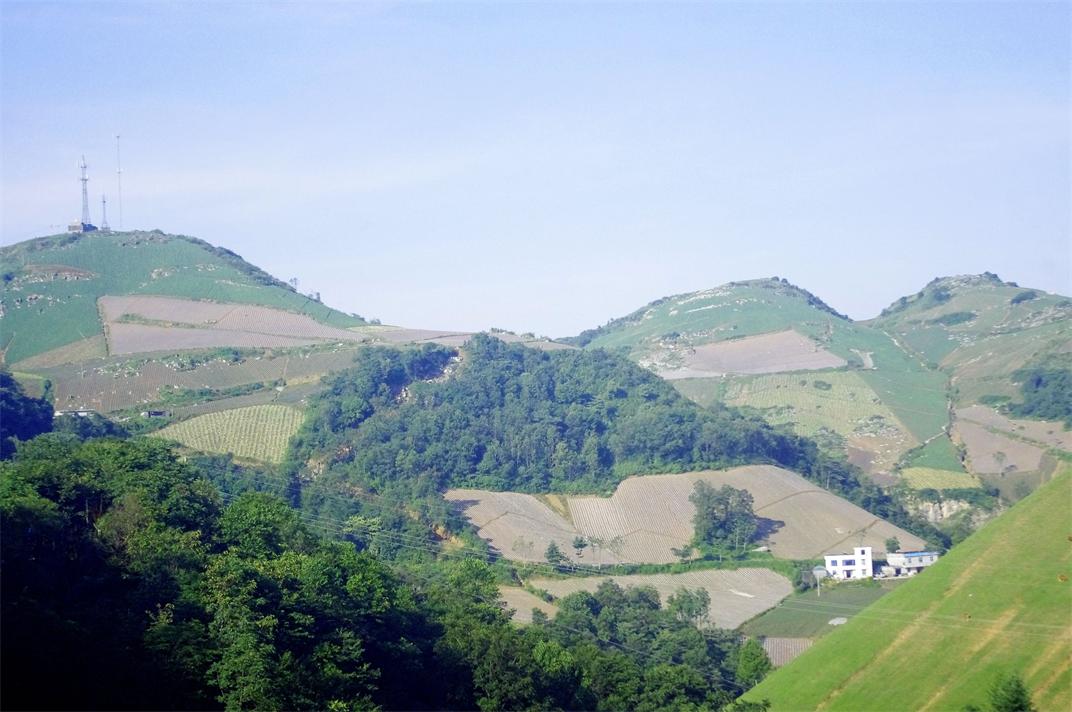 _igp7554.jpg