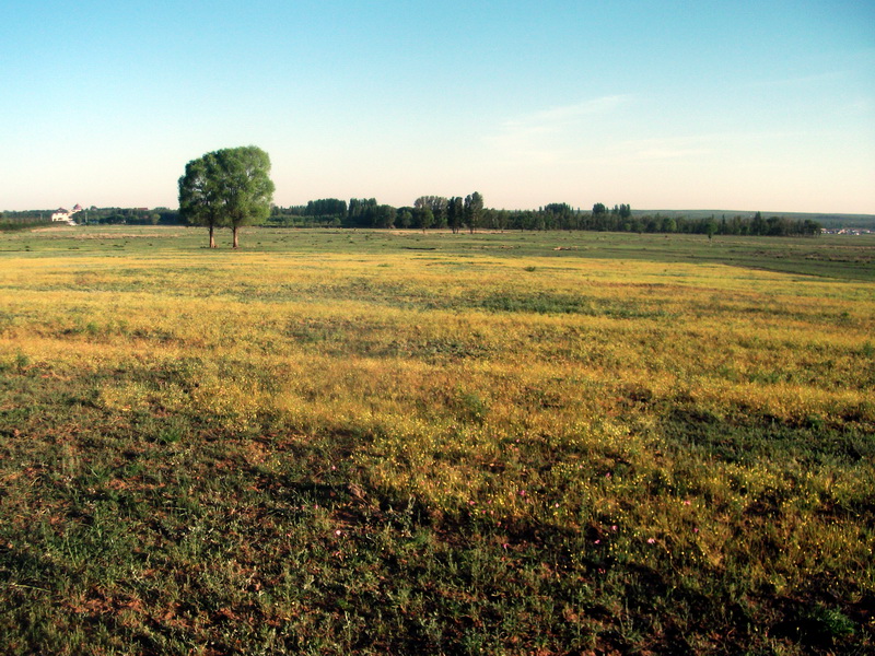 dscf0295.jpg