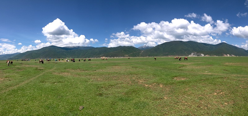 20150802_114718.jpg
