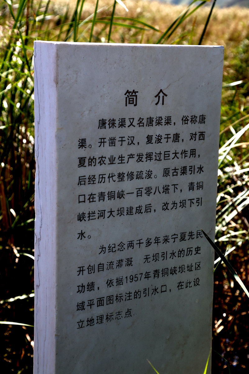 img_4584__.jpg