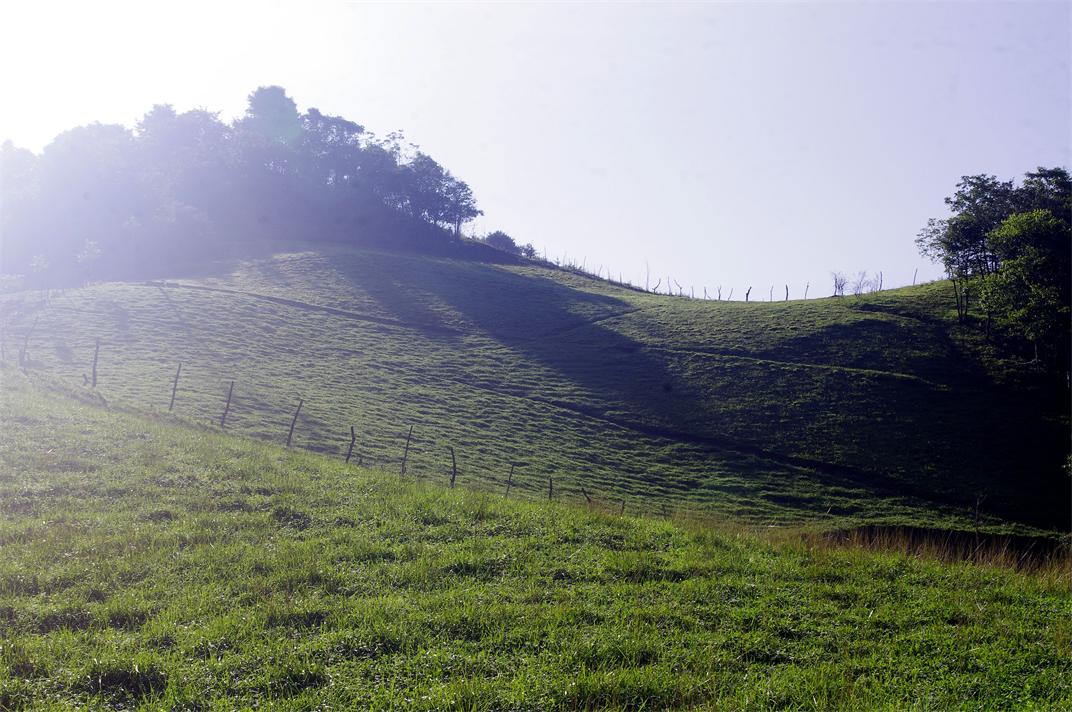 _igp7570.jpg