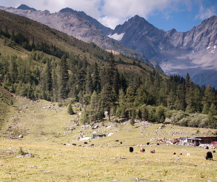 _dsc7542.jpg