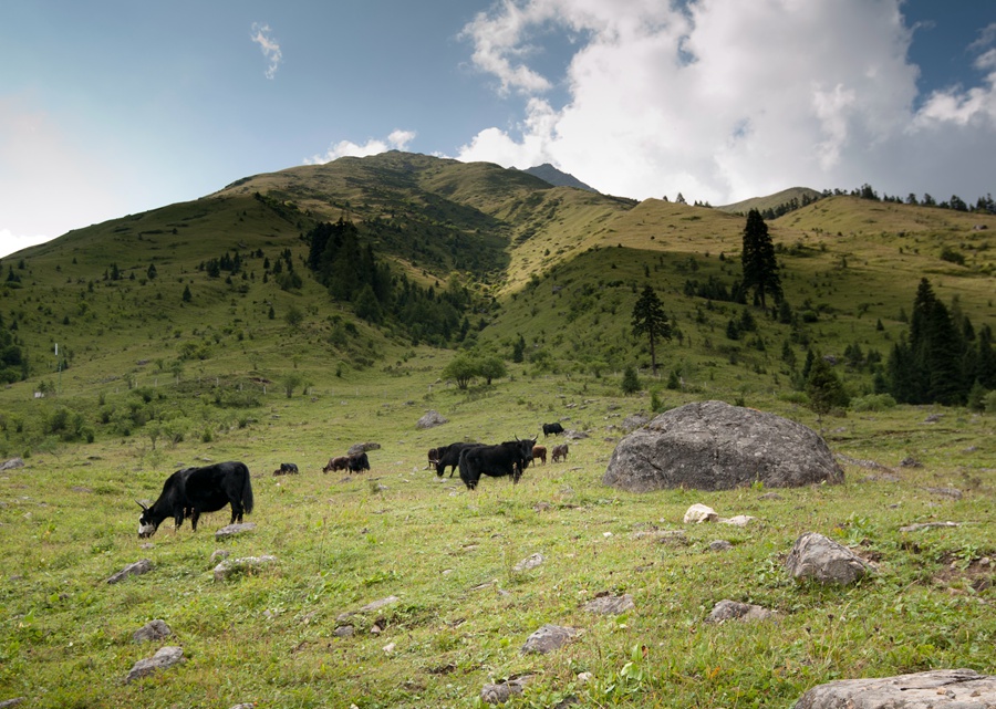 _dsc7594.jpg