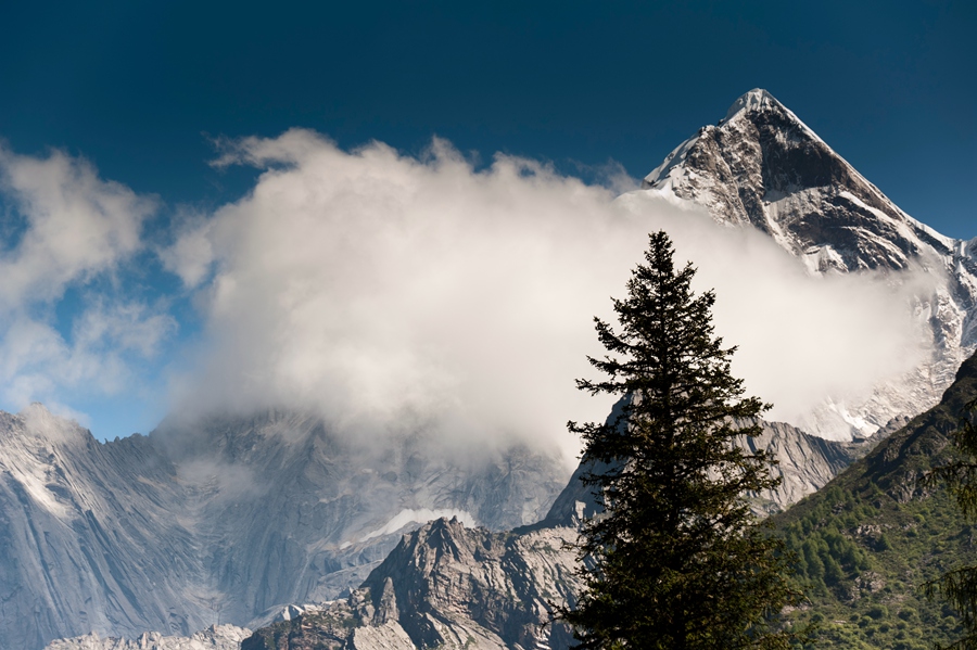 _dsc7460.jpg
