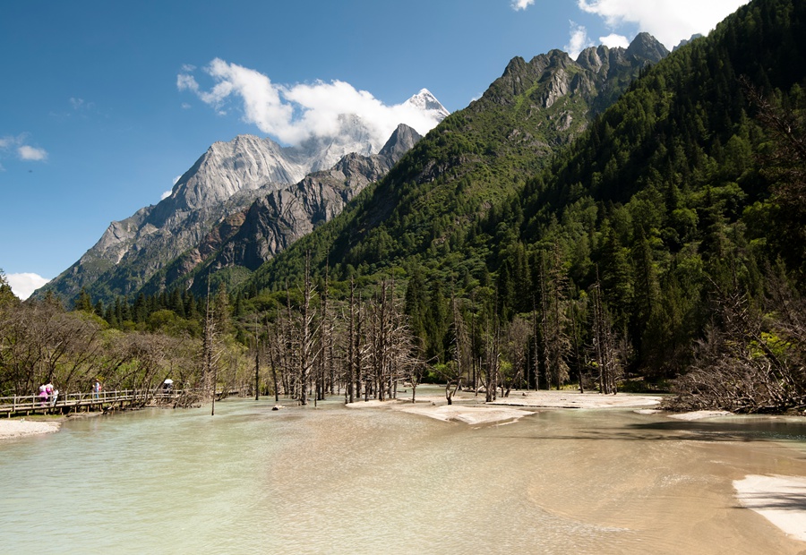 _dsc7474.jpg