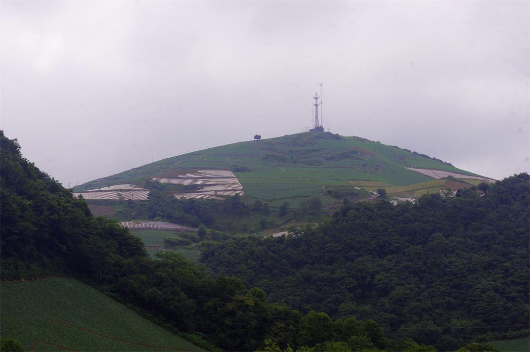 _igp7268.jpg