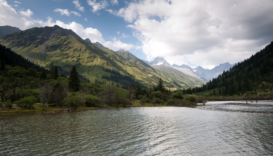 _dsc7628.jpg