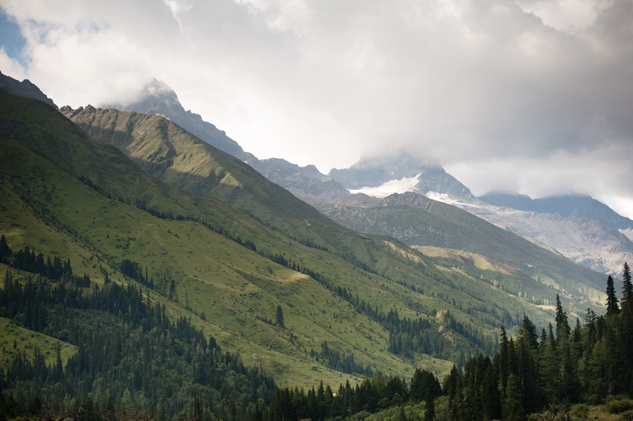 _dsc7702.jpg