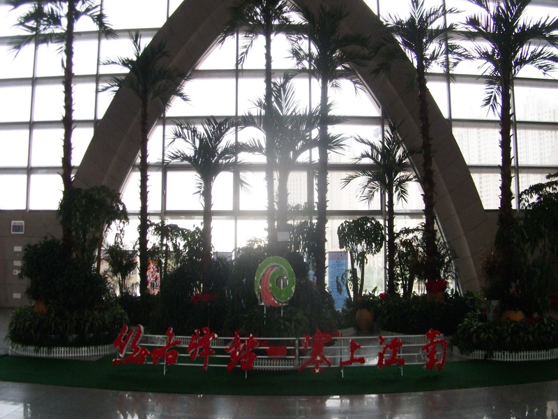 dscf0009.jpg