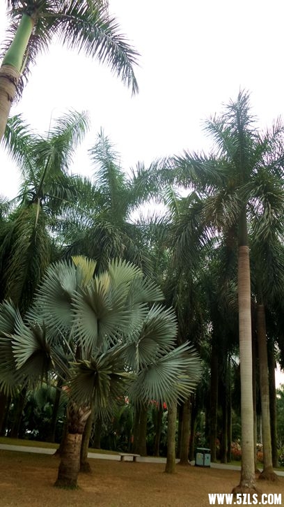 20151229_150719_.jpg