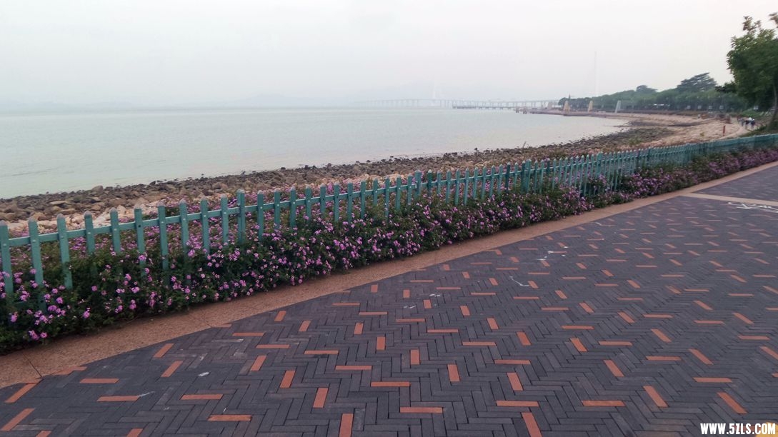20151230_173933_副本.jpg