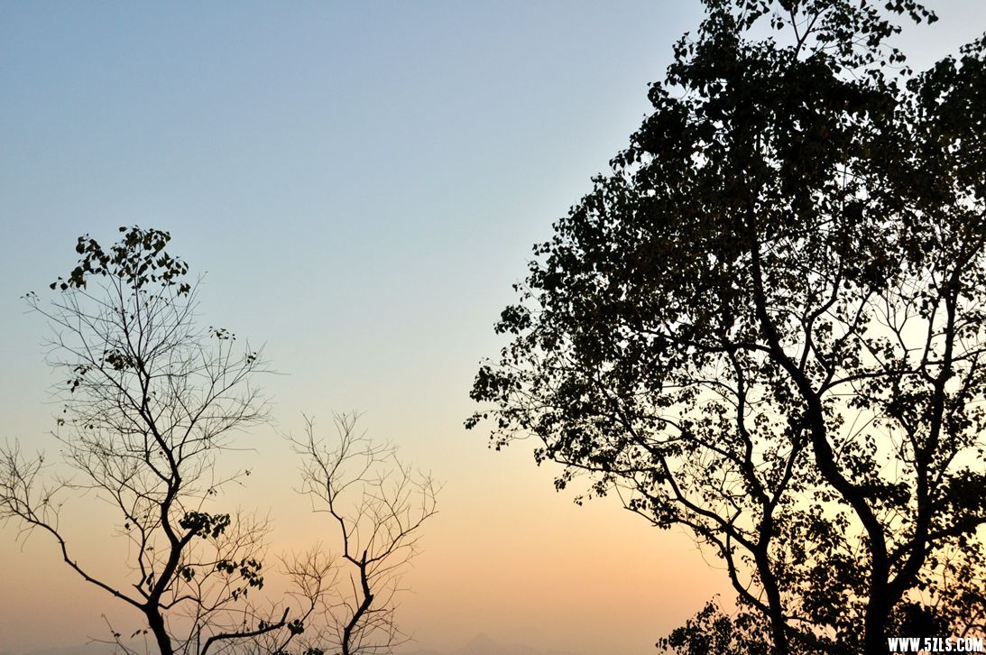DSC_0403_.jpg