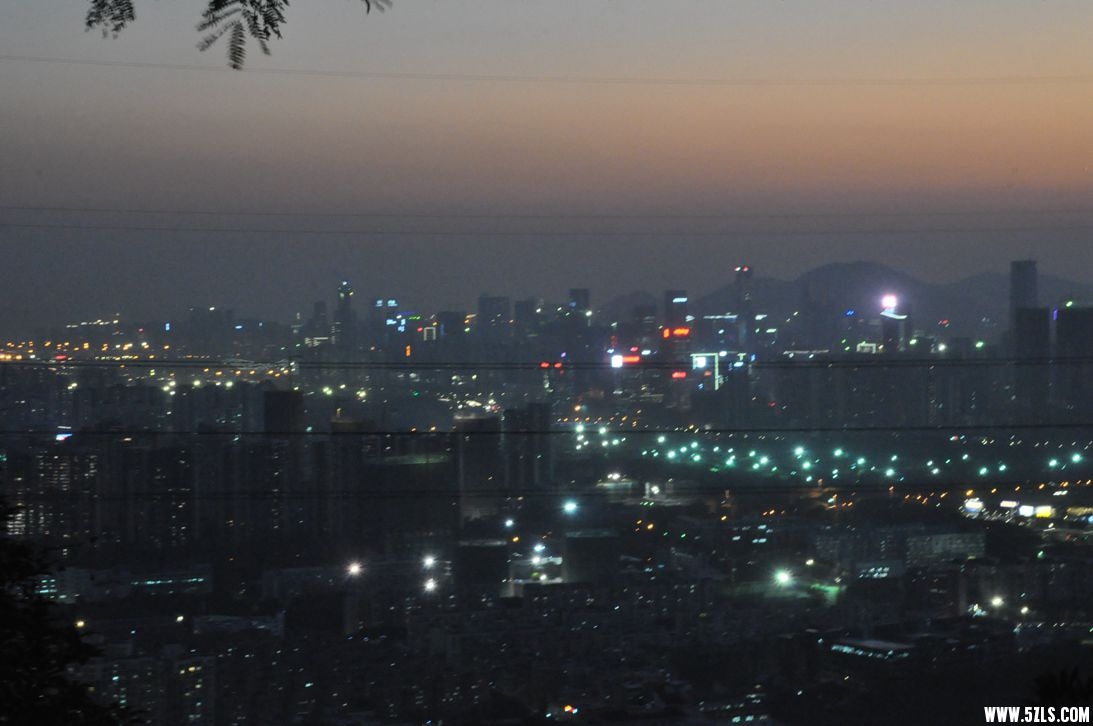 DSC_0421_.jpg