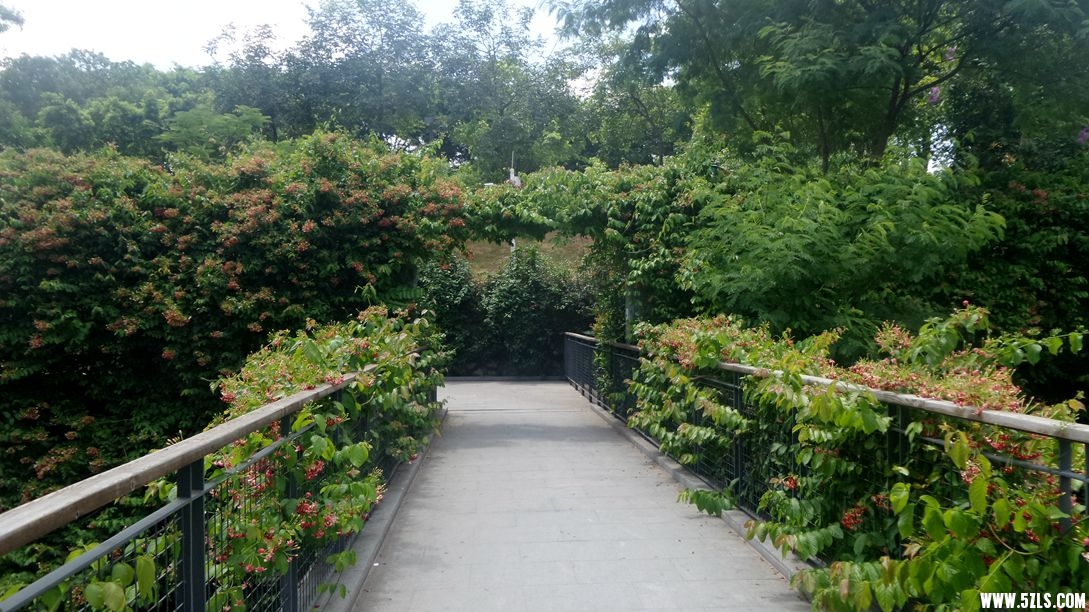 20150710_135516_.jpg