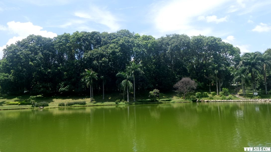 20150710_133247_.jpg