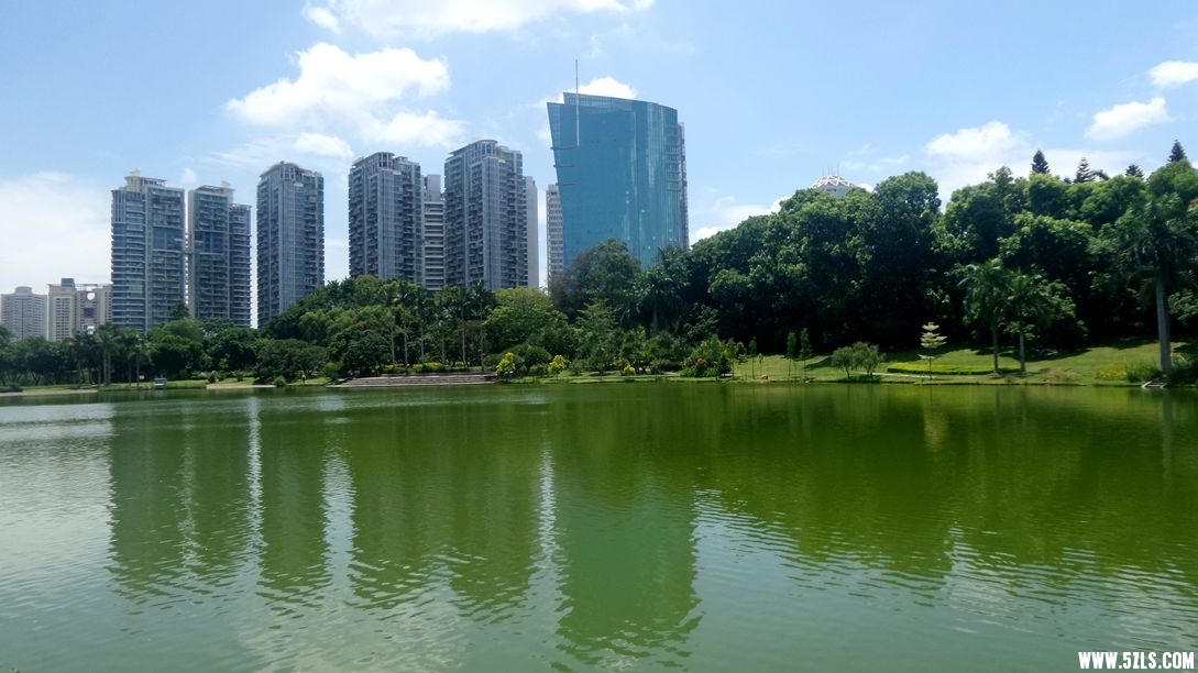 20150710_133251_.jpg