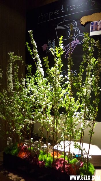 20151216_151001_.jpg