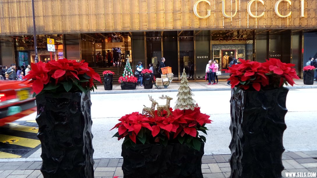 20151219_131501_.jpg