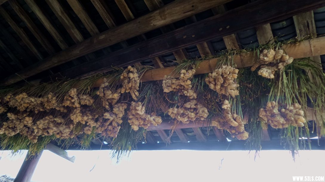 20151227_111918_.jpg