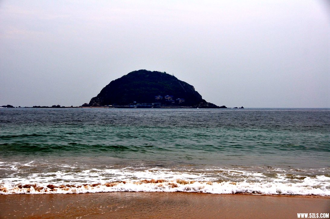 DSC_0783_.jpg