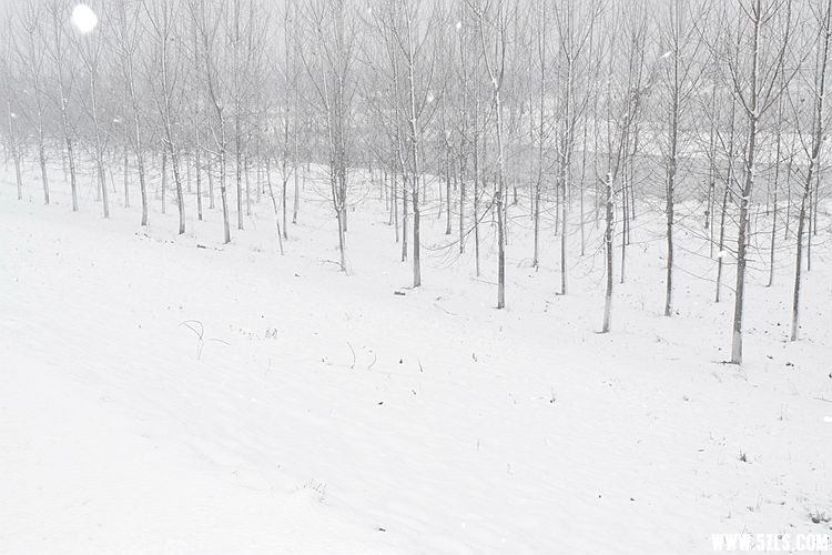 _DSC3199.JPG