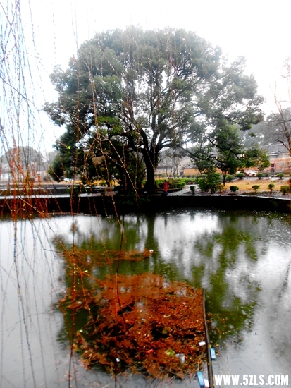 DSCN2092.JPG