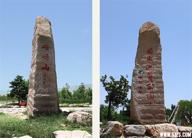 14041874387725.jpg