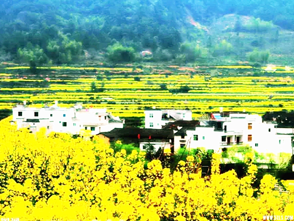 瑶湾22.jpg