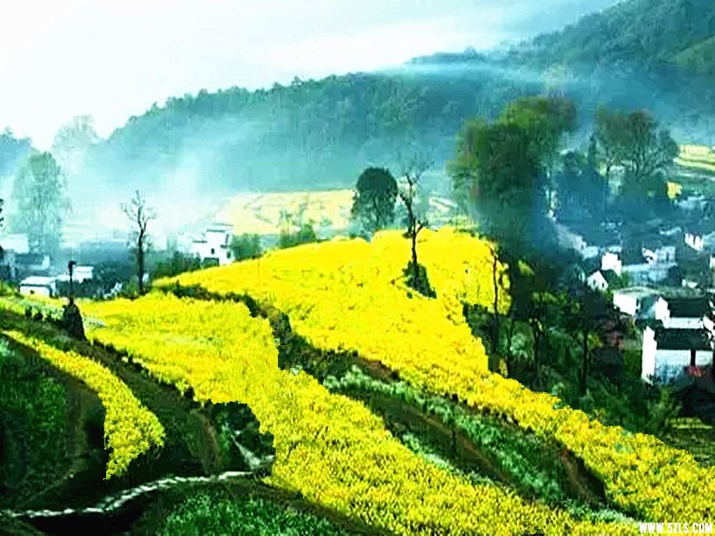 瑶湾25.jpg