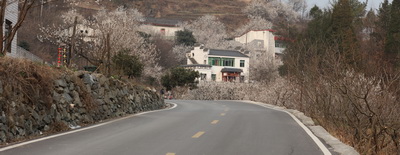 049A1890_调整大小.jpg
