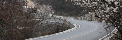 049A1990_调整大小.jpg