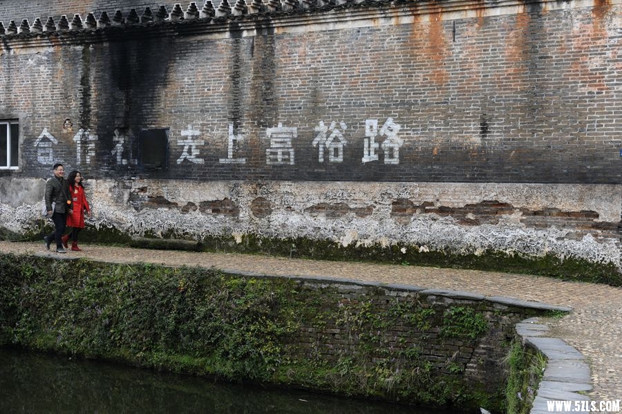 _DSC4047_副本.jpg