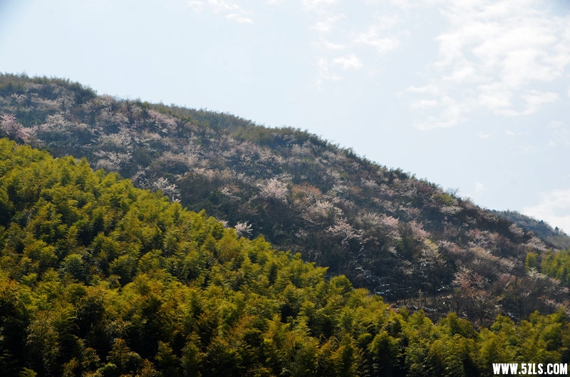 DSC_8076___.jpg