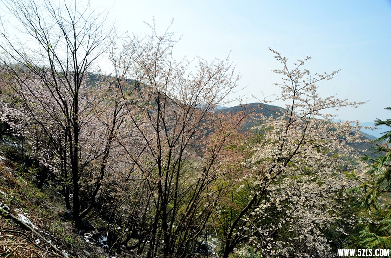DSC_8095__.jpg