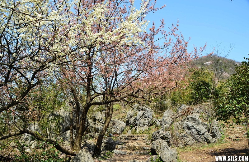 DSC_8170__.jpg