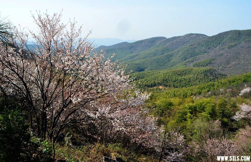 DSC_8360__.jpg